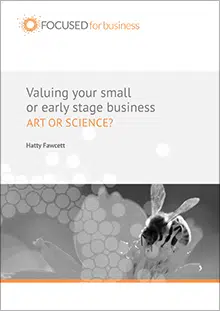 Ebook: Valuting your small or early stage small business: Art or science?