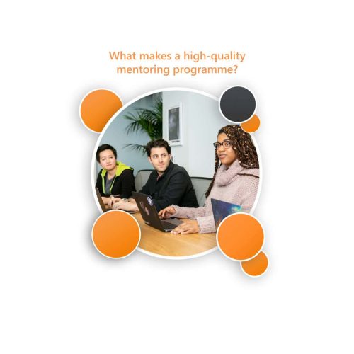 What makes a high-quality mentoring programme banner.
