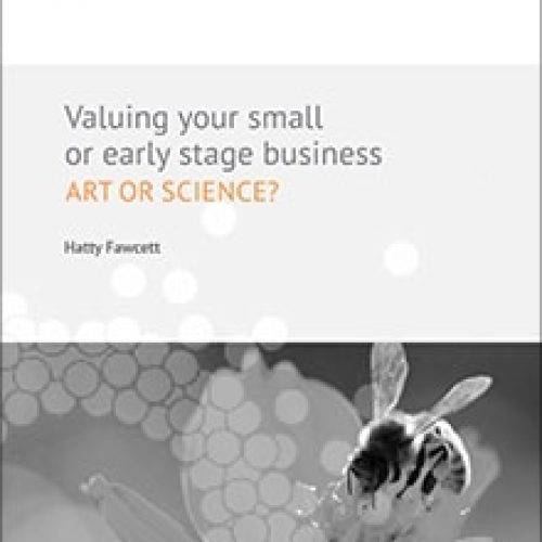 Ebook: Valuting your small or early stage small business: Art or science?