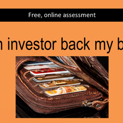 Would-an-investor-back-my-business-no-logo-800
